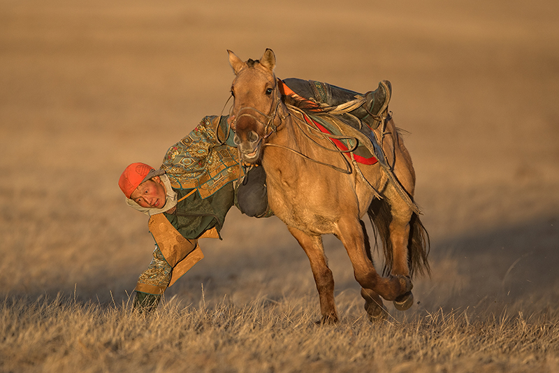 horseman photo mongolia
